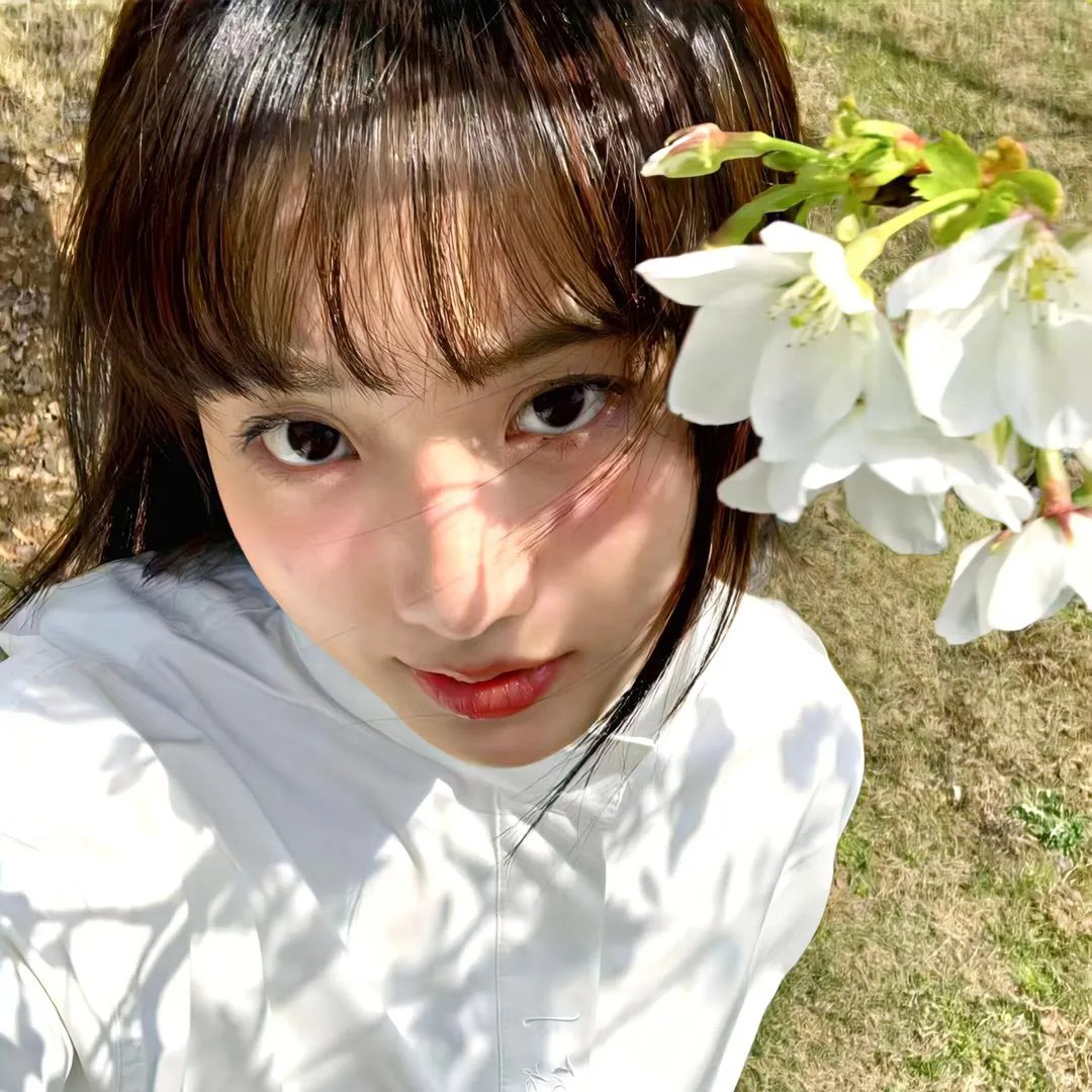 美丽星球